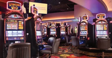 bdg win complete guide to features, benefits, and safe gameplay