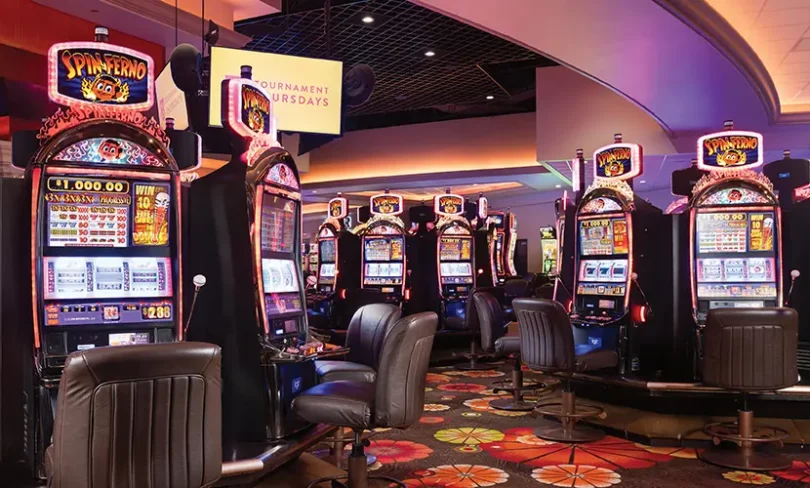 bdg win complete guide to features, benefits, and safe gameplay