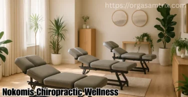 nokomis chiropractic wellness