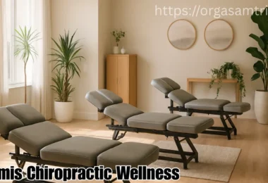 nokomis chiropractic wellness